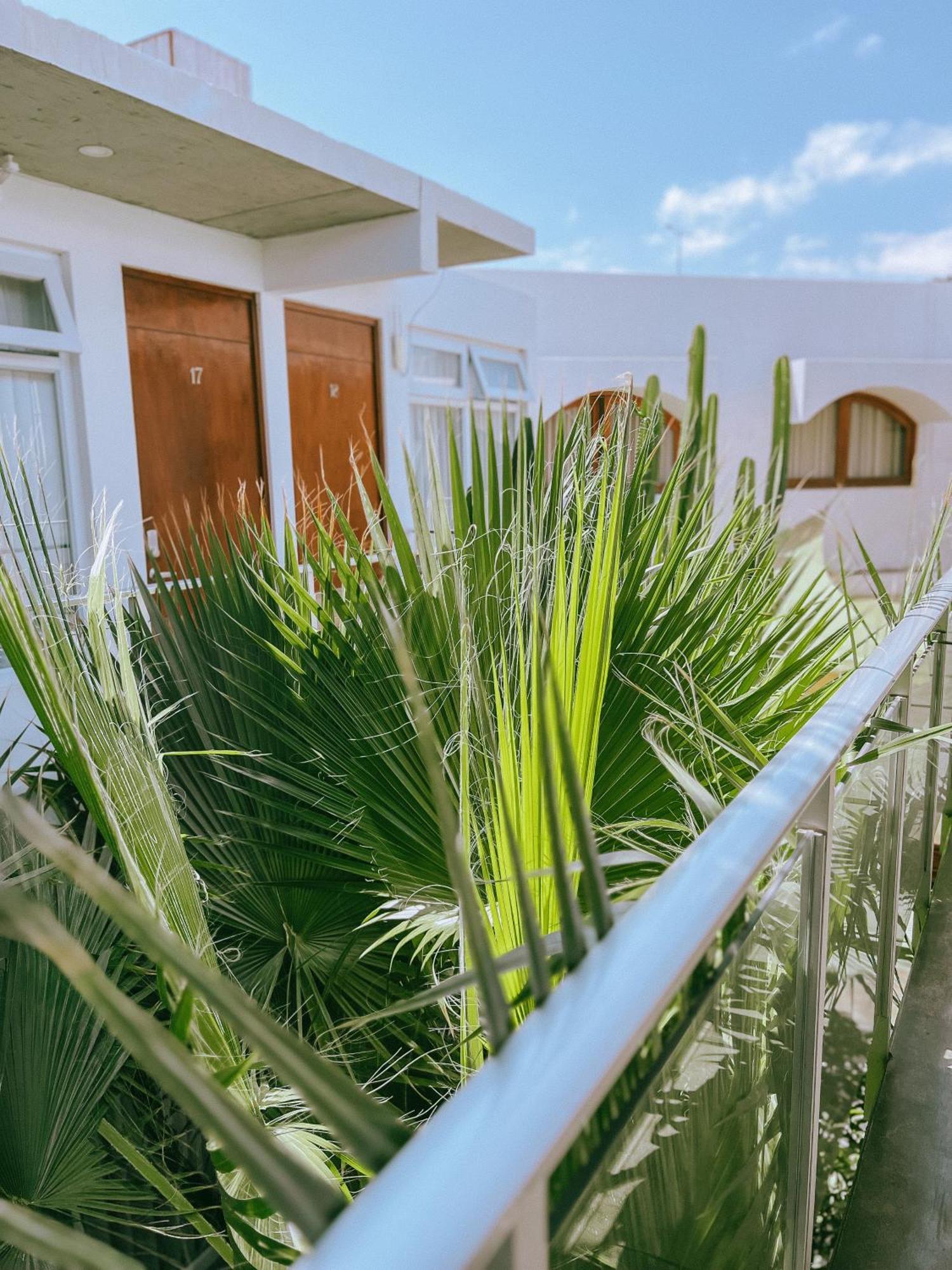 Hotel Puerto Chinchorro Arica Eksteriør bilde